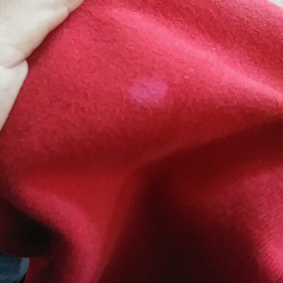 Dickies Men Hoodie - Picture 5 of 5